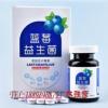 藍莓益生菌粉貼牌生產廠家