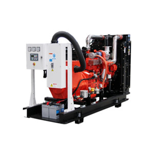 Powerplus 燃?xì)獍l(fā)電機(jī)組 24kW-300kW