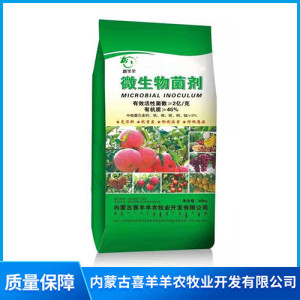 微生物菌剂