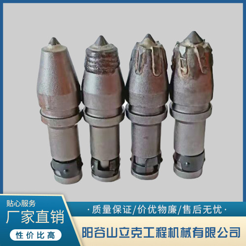 C31开槽齿