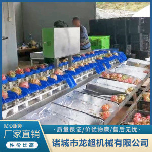 火龍果分選機(jī)