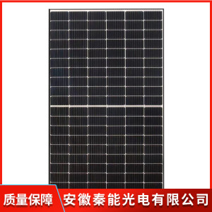 166尺寸9BB黑框白背板高效組件