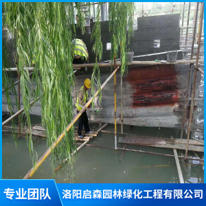 合肥逍遙津做的古戰(zhàn)船