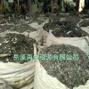 銅合金介紹：紫銅、黃銅、青銅與白銅