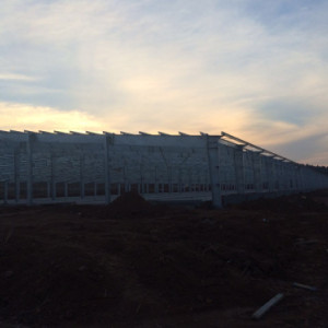 泰安汉世伟东平循环农业园中套项目钢结构工程 42095平米