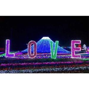 LOVE