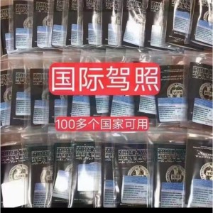 國際駕照辦理材料（KIDA IAA） 香港駕照申請所需資料