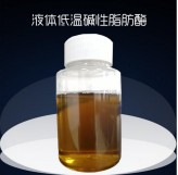 低溫堿性脂肪酶