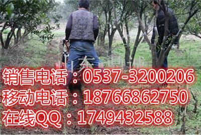 巢湖汽油動力果園開溝機 多功能田園管理機