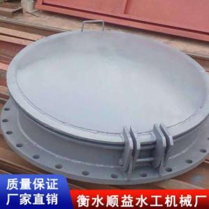 法蘭式鑄鐵拍門廠家