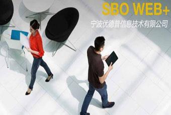 SAP Business One Web