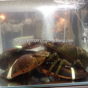 2014年日本東京水產展