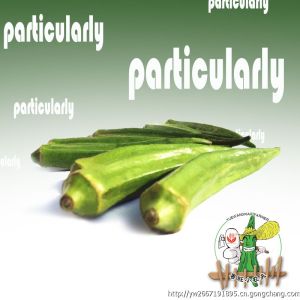 粵旺無公害新鮮蔬菜黃秋葵 全程有機培育