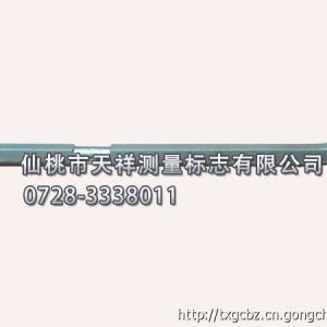 仙桃市天祥測量標志有限公司供應優質不銹鋼L式沉降觀測標