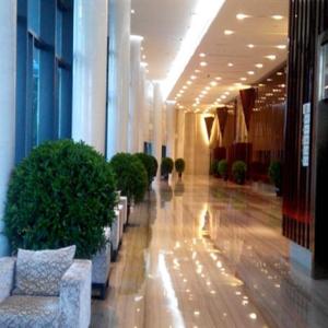 珠海花卉批發 綠植租擺