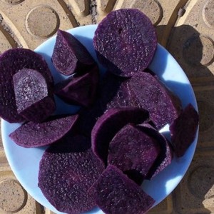 四平黑地瓜哪家好