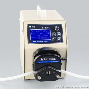數字流量型BT300K