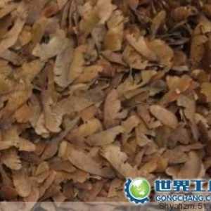 供應(yīng)批發(fā)紅楓種子、紫丁香種子、五角楓種子