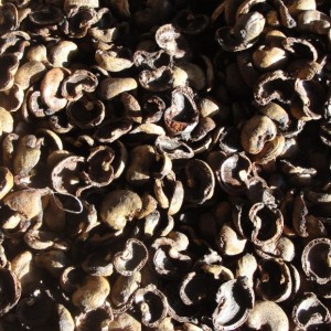 長期大量供應 腰果殼