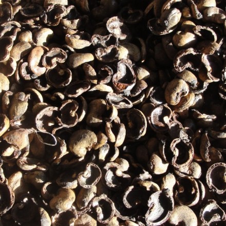 长期大量供应腰果壳