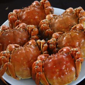 張岱就曾說食大閘蟹不加醋鹽而五味俱全