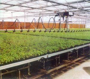 溫室微噴-育苗土壤-苗床腿架