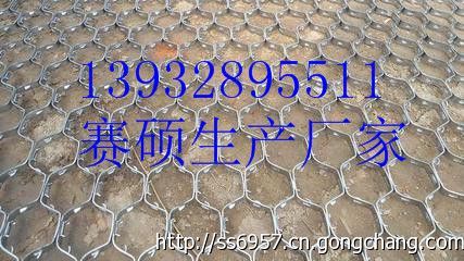 供應賽碩浙江大泥爪六角網 湖州 長興 桐廬 臨平 龜甲網