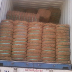 供應坐墊用椰絲