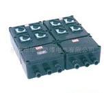 BXM(D)防爆防腐照明（電動）配電箱