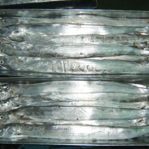 供應東山島 冷凍帶魚/刀魚或切塊