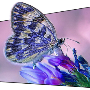 Really 銳麗超窄邊拼接屏