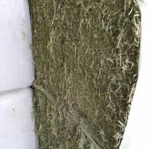 干苜蓿草 美國進口史丹利ACX優質一級苜蓿草