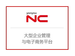 昆明德多，用友NC大型集團與電子商務解決方案，