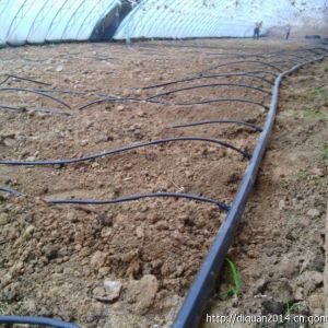 陜西番茄滴灌工程