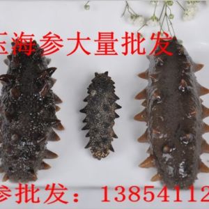 海參批發市場-山東最大的海參批發商城之一