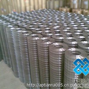 電焊網 浸塑電焊網 電焊網片