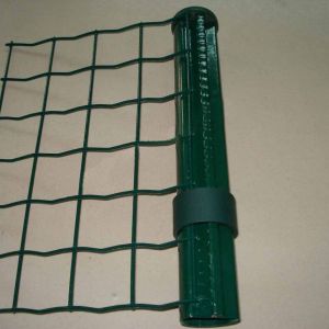 安平縣昌成牌防腐荷蘭網圈地網