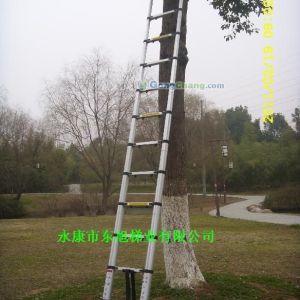 供應3.8米伸縮梯，竹節梯，鋁梯，梯子，樓梯，多功能梯，魔術梯