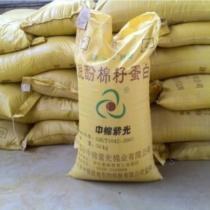 河北南宮廠家供應脫酚棉籽蛋白54%蛋白奶牛雞魚水產飼料原料