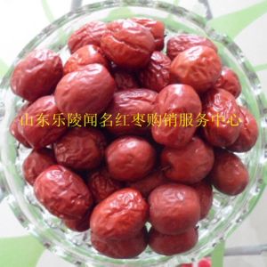 現在批發樂陵小棗金絲小棗多少錢一斤