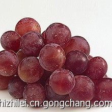 提子