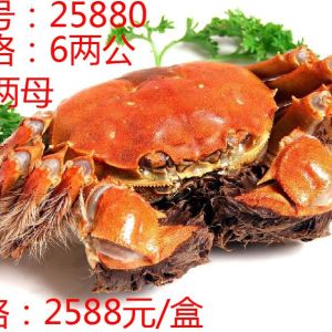 昆山九沐森陽澄湖大閘蟹 型號：25880