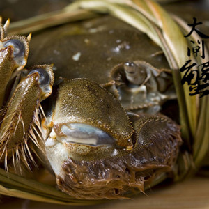 蟹狀元新推海鮮禮包——年關送禮首選！