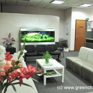 深圳辦公室水族缸定做