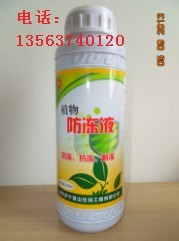 園林花卉增粗劑，綠化苗木速長增粗劑，怎樣讓苗木快速增粗