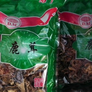 盧氏珍稀山珍 鹿茸菇