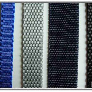 供應珠紋帶 多色可選 規格品種齊全