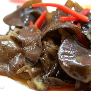 供應毛木耳.白背木耳