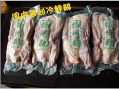 供應冷凍鵝，白條鵝