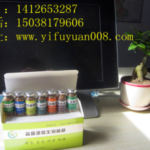如何發酵木薯渣喂豬？效果好嗎？
